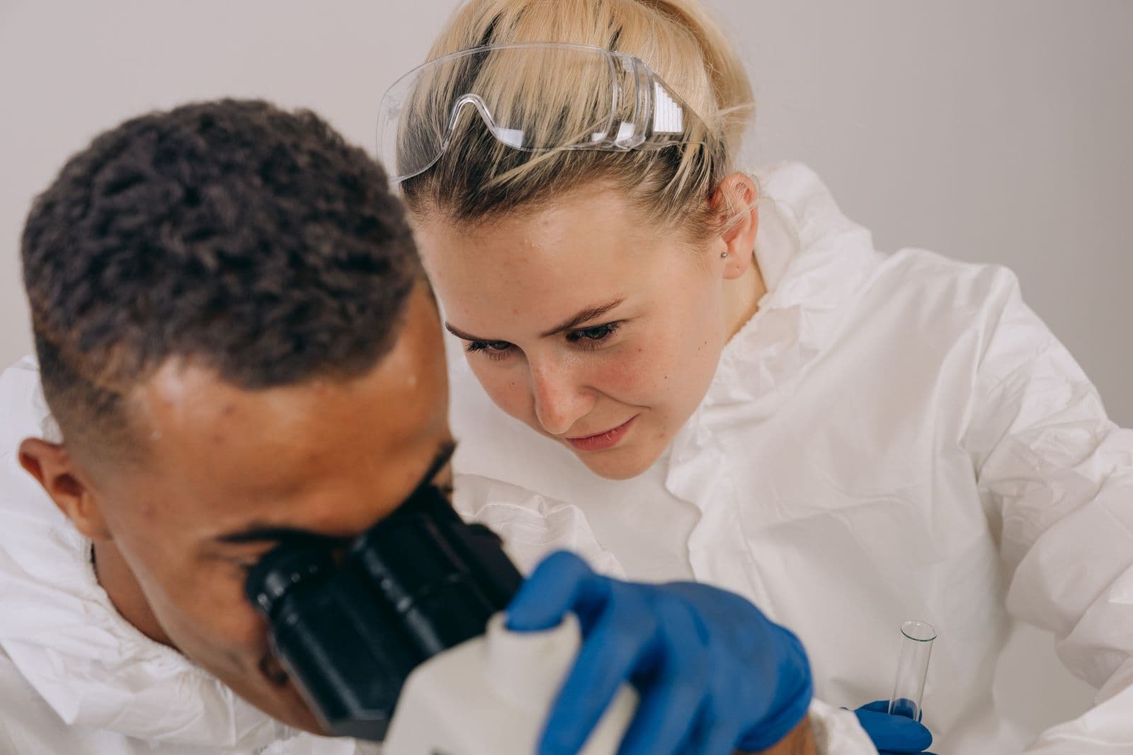 Importing medicinal leeches: the documentation you need
